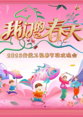 安徽卫视春节联欢晚会2026